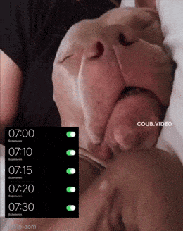 Просто гифки, всякие и&nbsp;разные