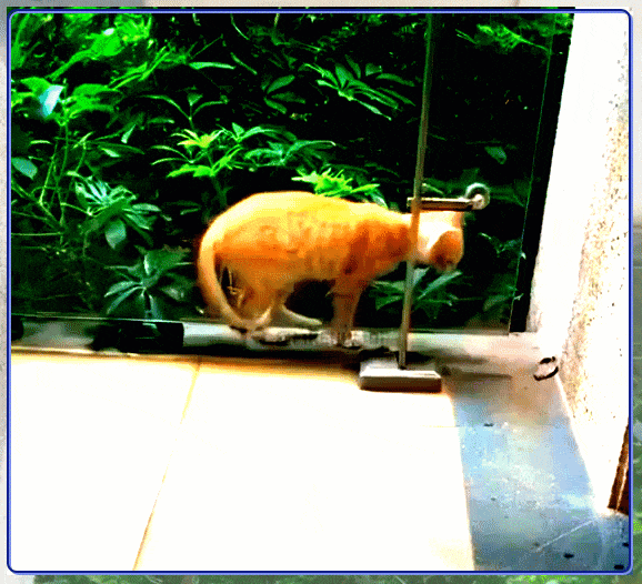 Просто гифки, всякие и&nbsp;разные