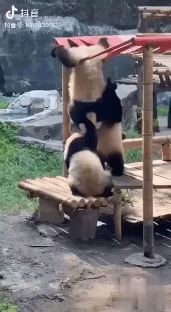 Просто гифки, всякие и&nbsp;разные