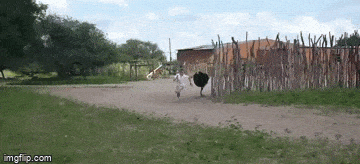 Просто гифки, всякие и&nbsp;разные