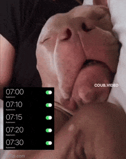 Просто гифки, всякие и&nbsp;разные