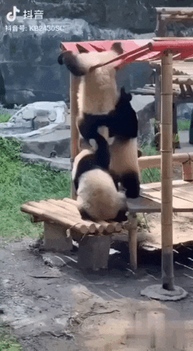 Просто гифки, всякие и&nbsp;разные