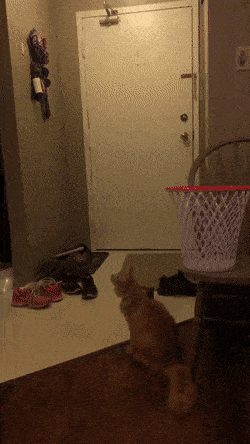 Просто гифки, всякие и&nbsp;разные