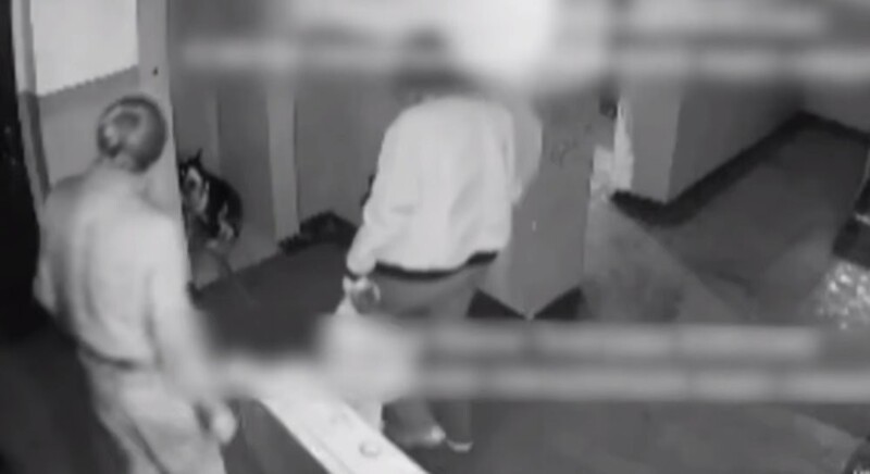 Мужчина несколько раз ударил щенка и теперь он предстанет перед судом