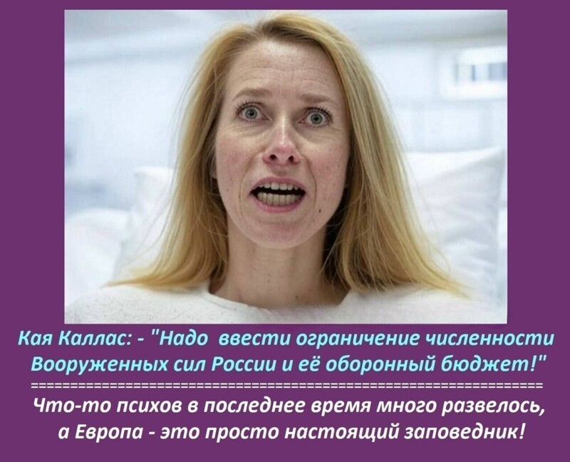 С миру по нитке и , и лишь о политике