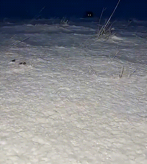 Просто гифки, всякие и&nbsp;разные