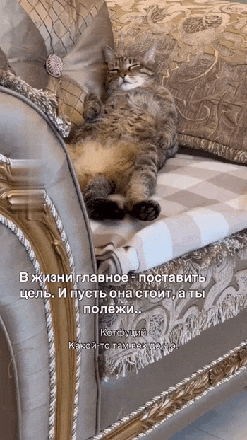 Просто гифки, всякие и&nbsp;разные