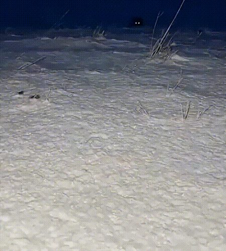 Просто гифки, всякие и&nbsp;разные