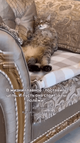 Просто гифки, всякие и&nbsp;разные