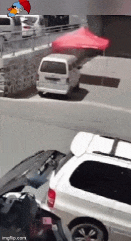 Просто гифки, всякие и&nbsp;разные