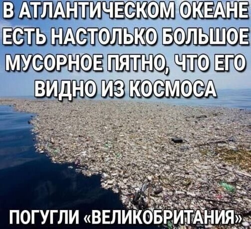 Лишь о ней , о политике