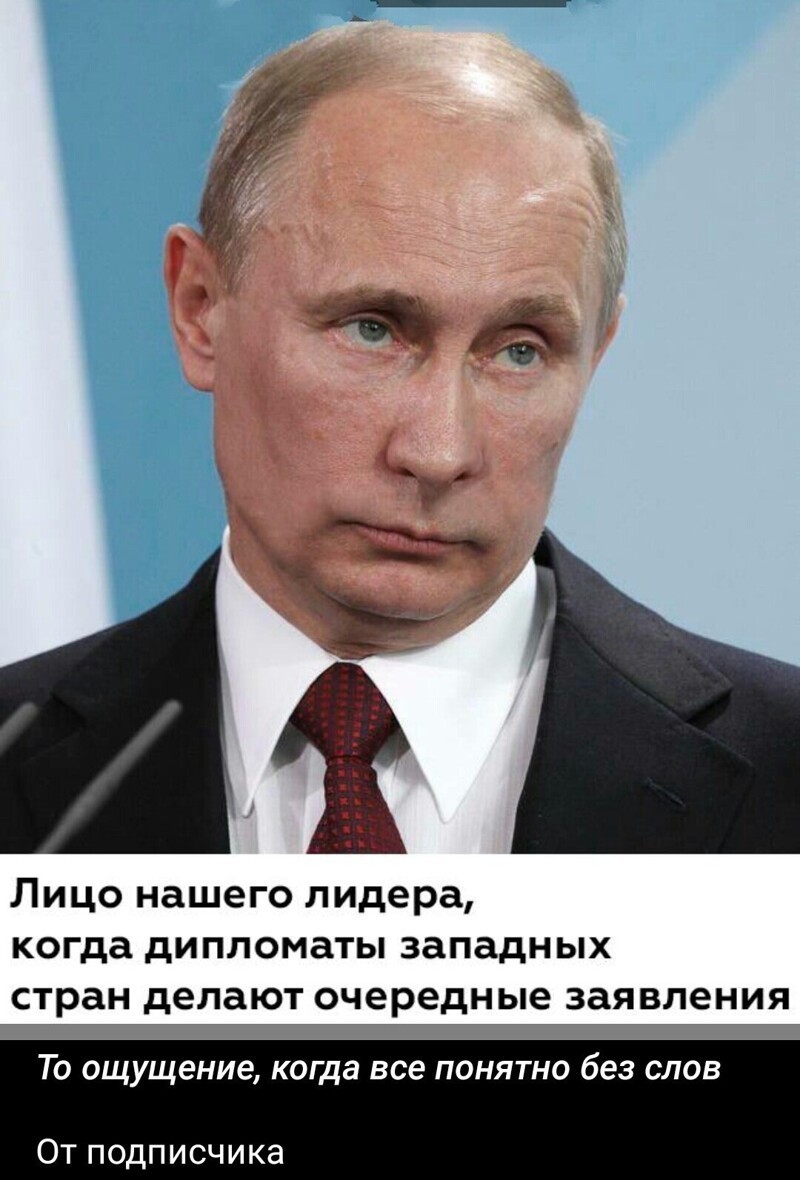 Лишь о ней , о политике