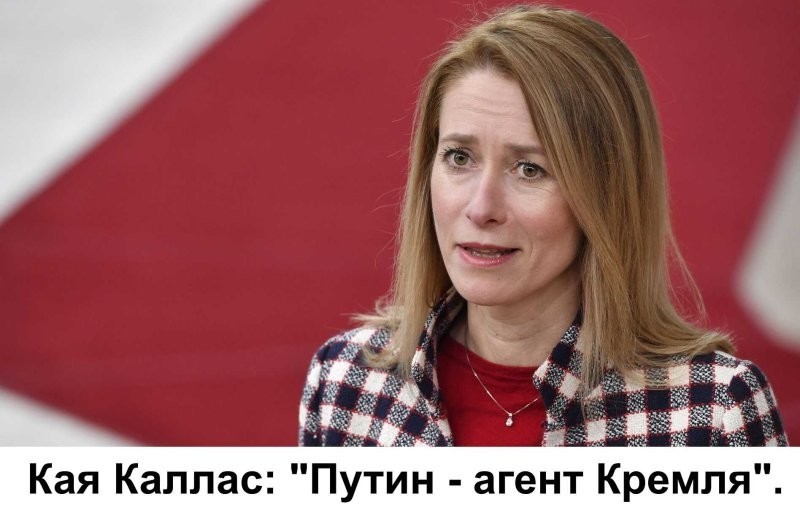 Лишь о ней , о политике