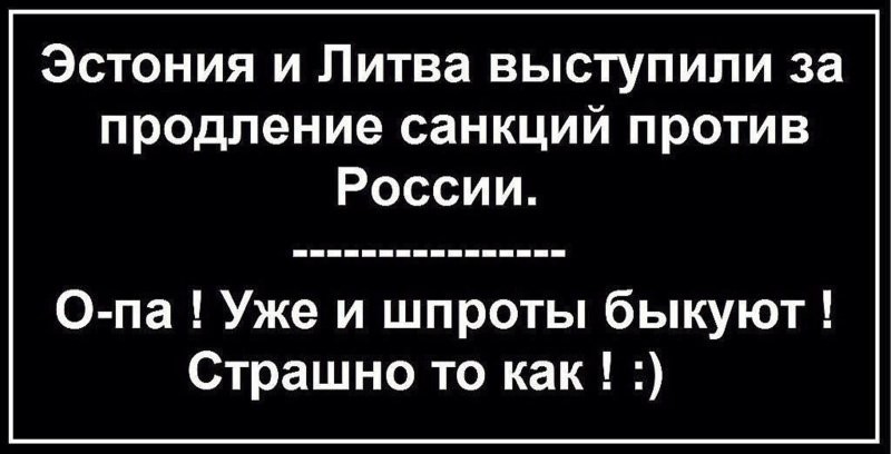 Лишь о ней , о политике