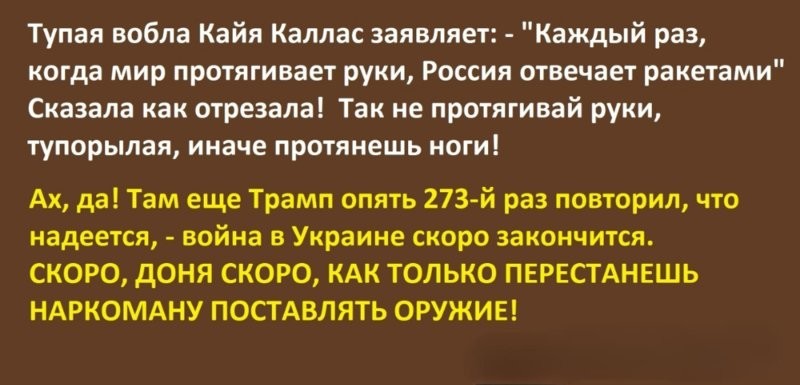 Лишь о ней , о политике