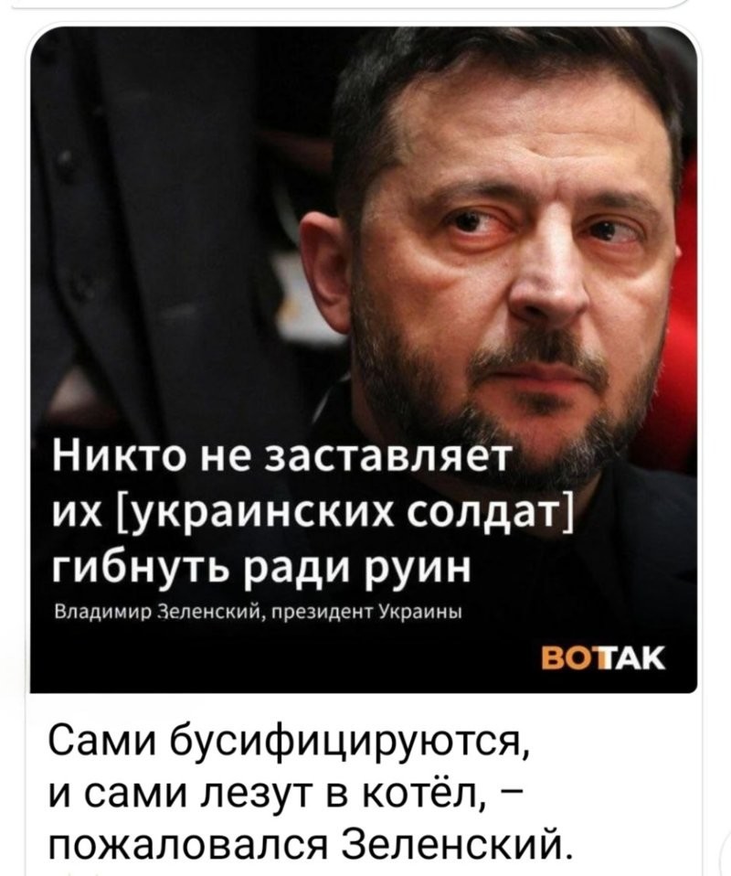 Лишь о ней , о политике