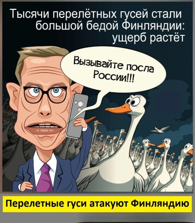 Лишь о ней , о политике