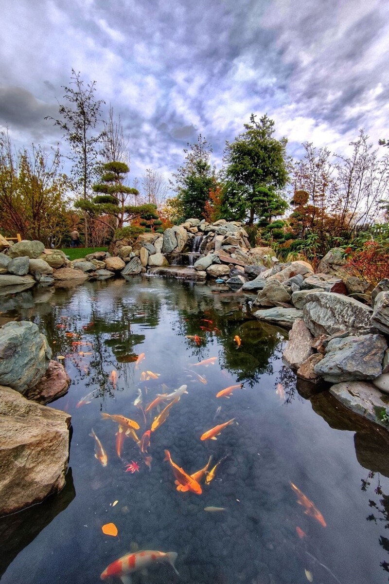 Добро пожаловать, или Посторонним вход разрешен