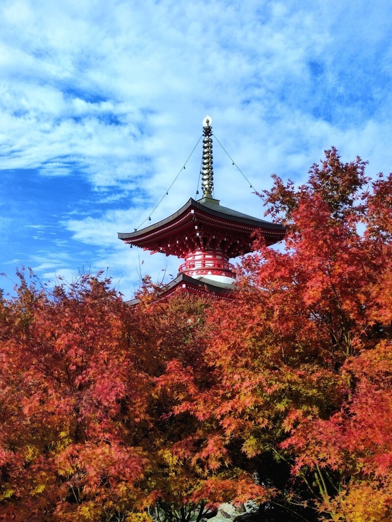 Добро пожаловать, или Посторонним вход разрешен