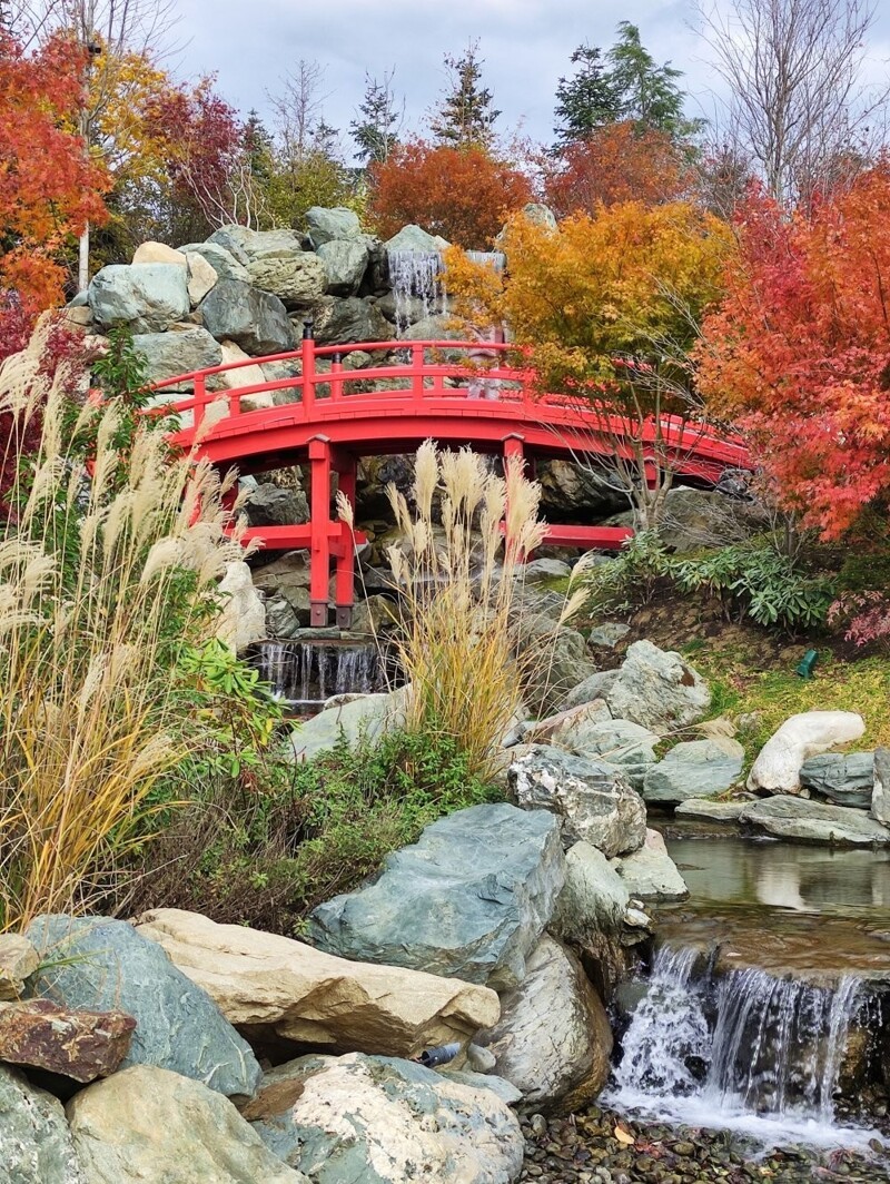 Добро пожаловать, или Посторонним вход разрешен