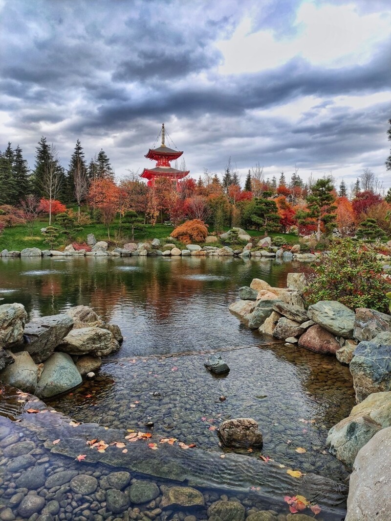 Добро пожаловать, или Посторонним вход разрешен