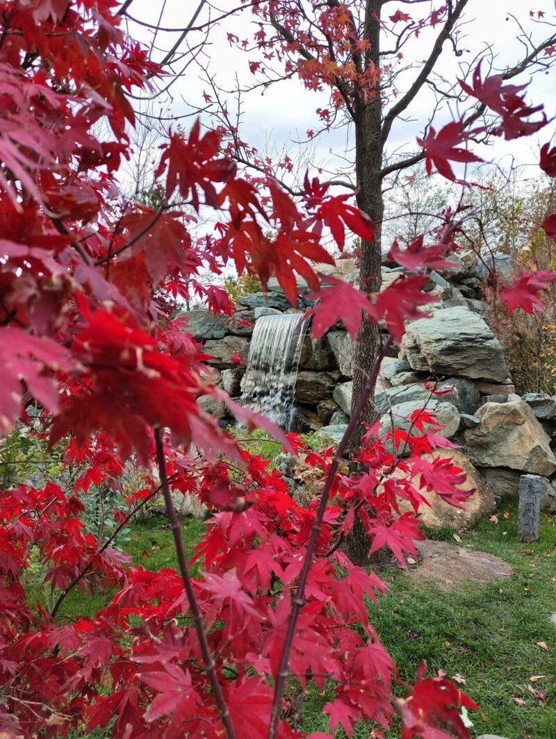 Добро пожаловать, или Посторонним вход разрешен