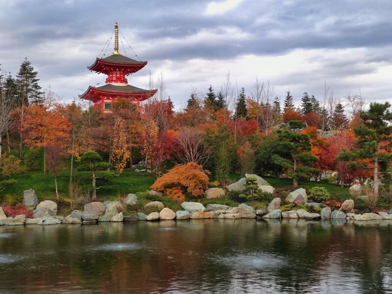 Добро пожаловать, или Посторонним вход разрешен