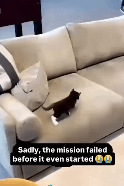 Просто гифки, всякие и&nbsp;разные