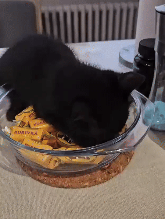 Просто гифки, всякие и&nbsp;разные