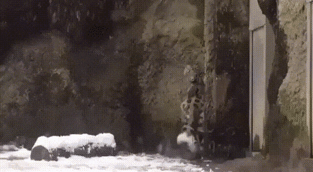 Просто гифки, всякие и&nbsp;разные