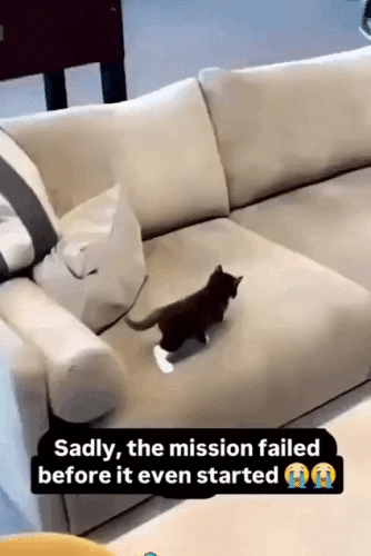 Просто гифки, всякие и&nbsp;разные