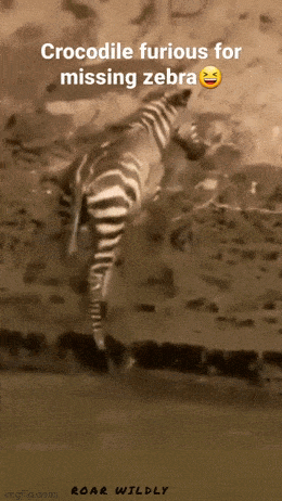 Просто гифки, всякие и&nbsp;разные