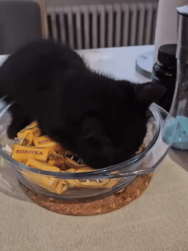 Просто гифки, всякие и&nbsp;разные