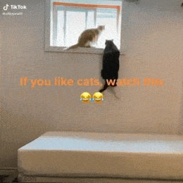 Просто гифки, всякие и&nbsp;разные