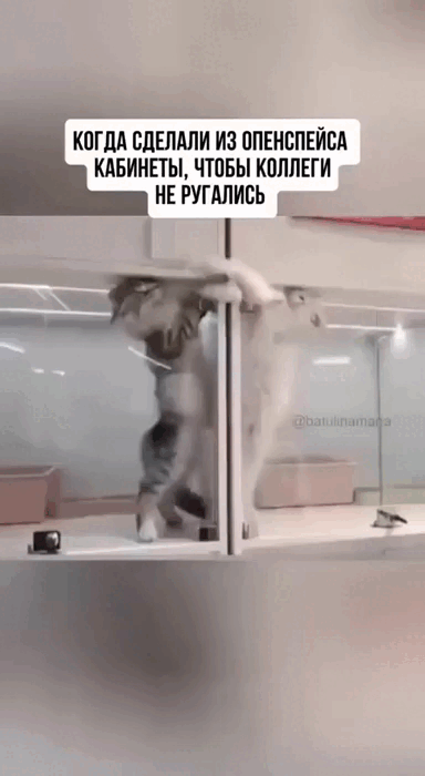 Просто гифки, всякие и&nbsp;разные