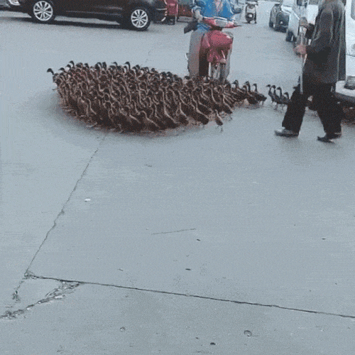 Просто гифки, всякие и&nbsp;разные