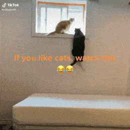 Просто гифки, всякие и&nbsp;разные