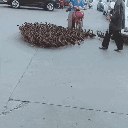 Просто гифки, всякие и&nbsp;разные