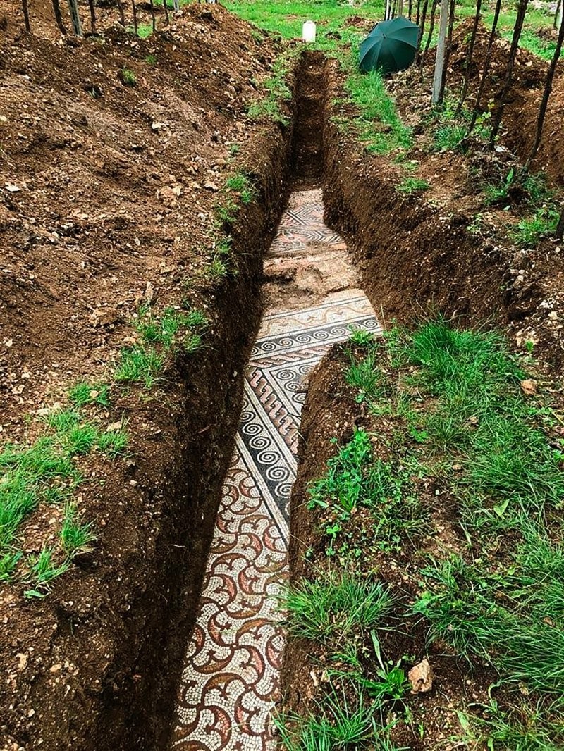 3. Мозаики римской виллы были найдены под виноградником в Неграре, Италия