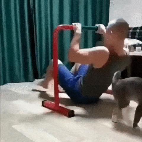 Просто гифки, всякие и&nbsp;разные