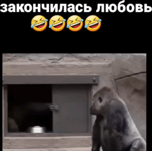 Просто гифки, всякие и&nbsp;разные