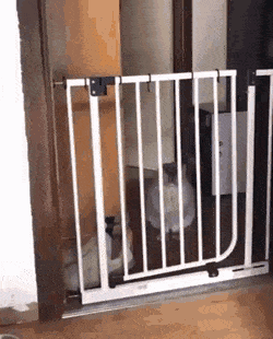 Просто гифки, всякие и&nbsp;разные