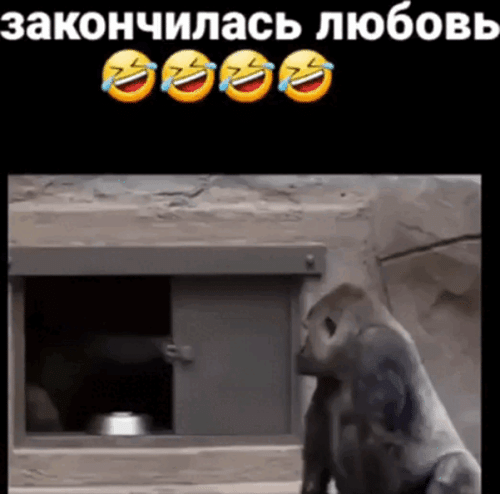 Просто гифки, всякие и&nbsp;разные