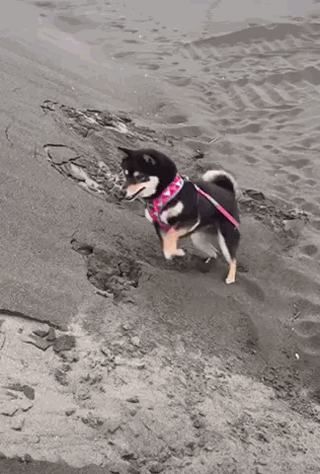 Просто гифки, всякие и&nbsp;разные