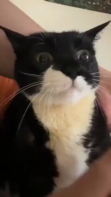 Просто гифки, всякие и&nbsp;разные