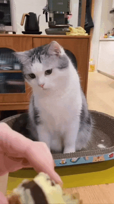 Просто гифки, всякие и&nbsp;разные