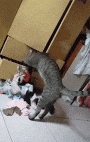 Просто гифки, всякие и&nbsp;разные