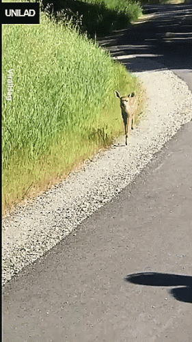 Просто гифки, всякие и&nbsp;разные