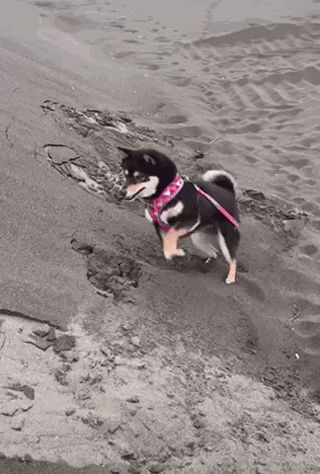 Просто гифки, всякие и&nbsp;разные