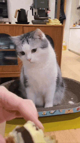 Просто гифки, всякие и&nbsp;разные